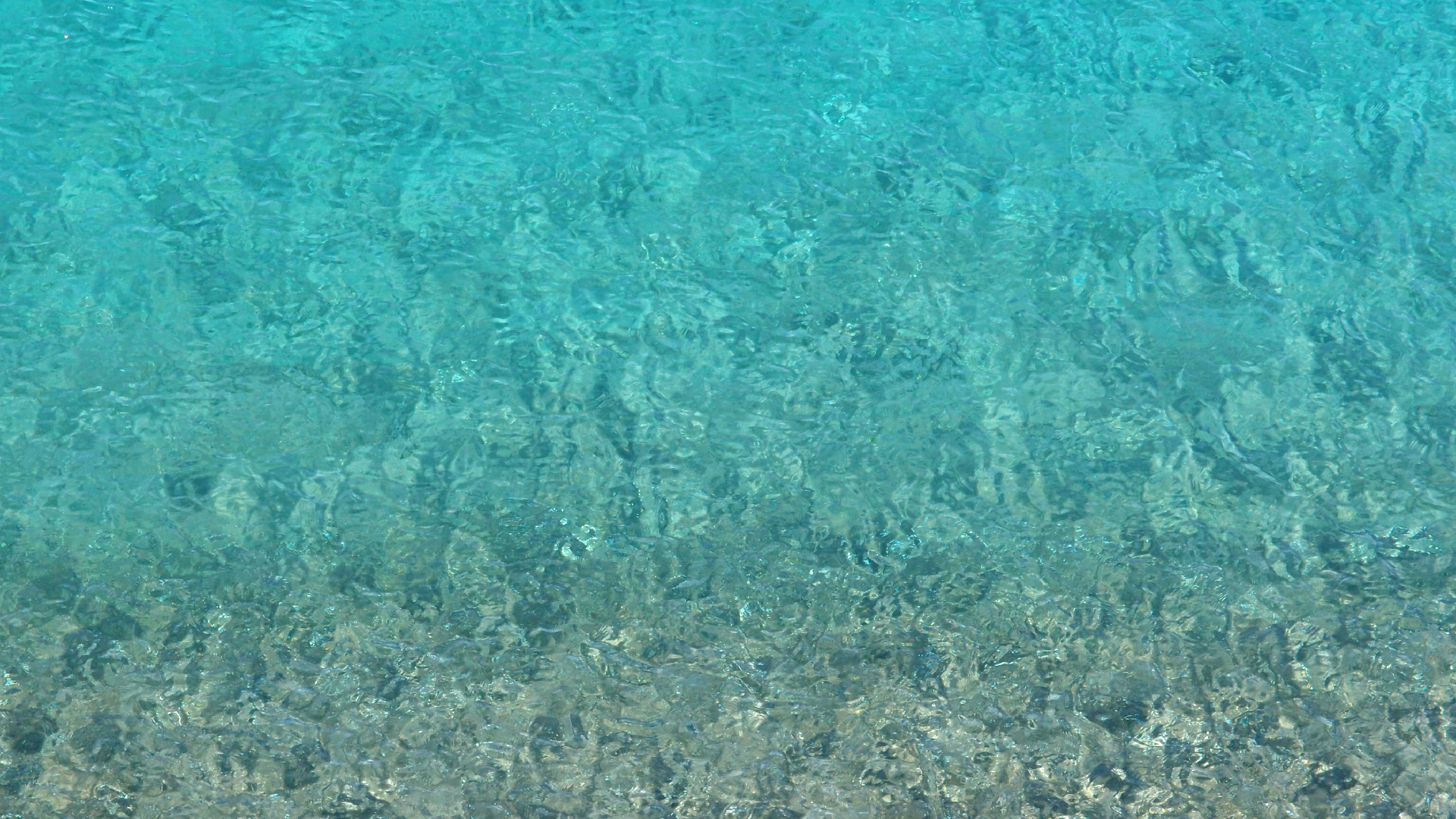 2022-10-22 09 Uhr 55 Wellen (Foto, Video)